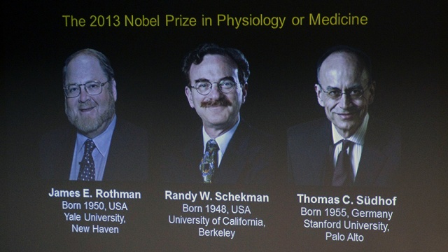 Нобелевку по медицине за 2013 год получили 