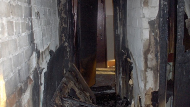 В одном из общежитий Волоколамска произошел пожар: сгорел кот