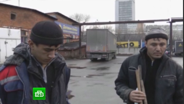 Полиция нашла десятки нелегалов и склад с алкоголем в Новой Москве