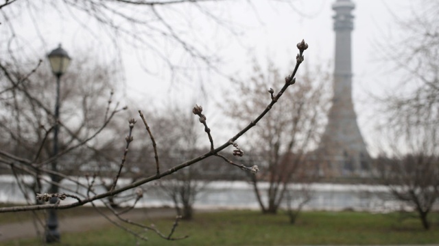 Есть рекорд: воздух в Москве прогрелся до 15,2 градуса тепла