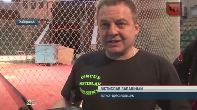 В Тольятти лжециркачи издевались над животными на глазах у публики