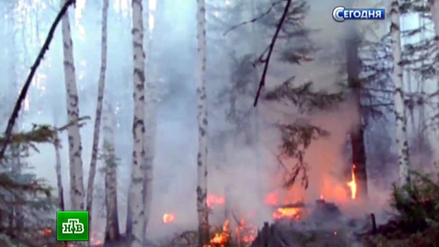 Сильные пожары и режим ЧС из Забайкалья пришли и в Иркутскую область