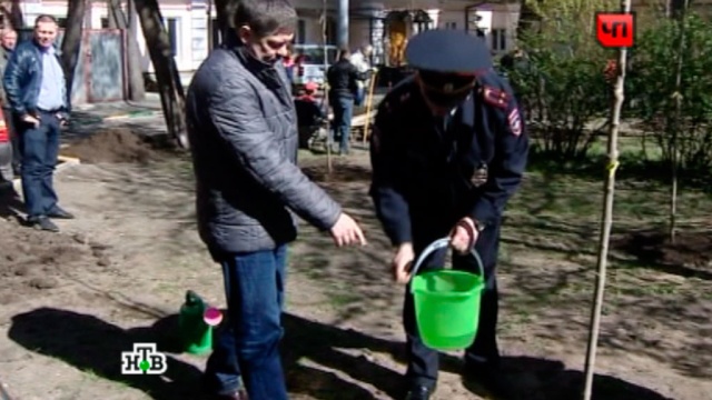 Анатолий Якунин вышел на субботник и посадил молодые клены в районе Петровки