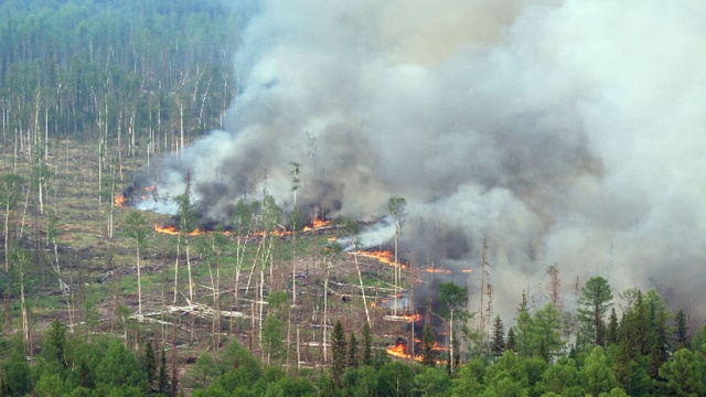 Над Уралом и Сибирью нависла угроза природных пожаров