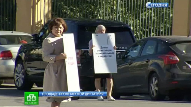 Активисты выразили протест организации муниципальных выборов в Северной столице