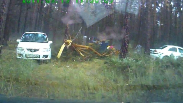 Падение смертоносного дерева на палатку с детьми снял видеорегистратор