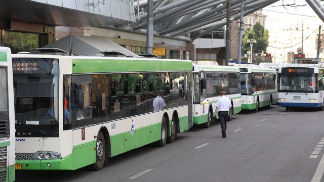 Для курсирующих вдоль синей ветки автобусов выделили отдельную полосу