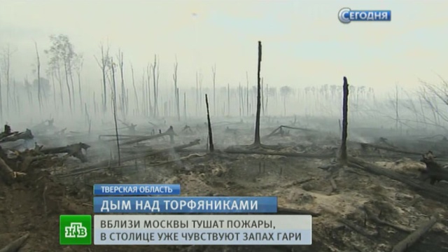 МЧС успокаивает: москвичам не угрожают торфяные пожары