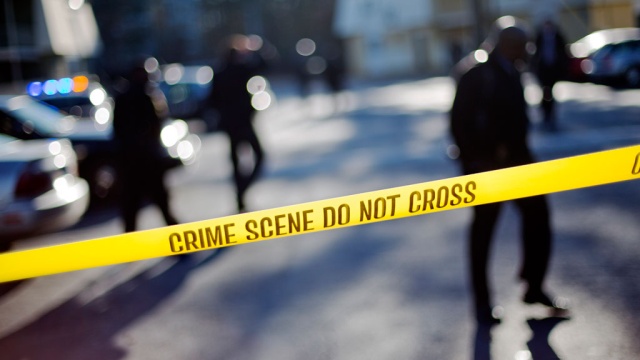 В новогоднюю ночь начальник полиции американского городка подстрелил жену