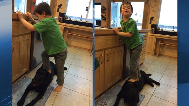 Сара Пэйлин шокировала общественность фотографиями сына, стоящего верхом на собаке