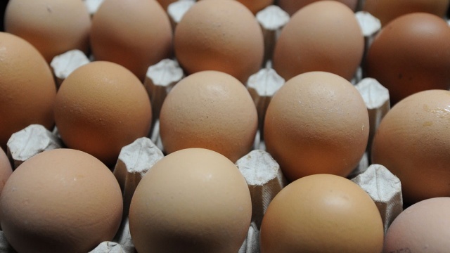 От россиян поступают десятки жалоб на подорожание яиц 