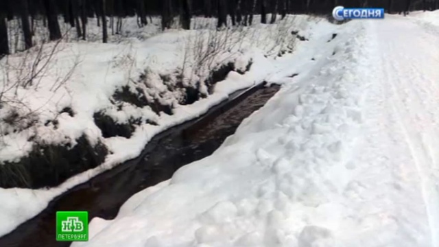 Петербуржцы жалуются на загрязнение Пискарёвского лесопарка