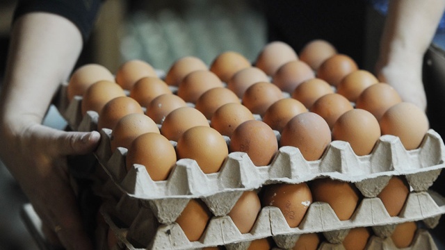 Украина запретила провозить в Россию турецкие яйца