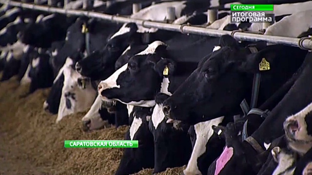 Производители молока жалуются на процентные ставки и низкие дотации