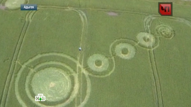 Уфологи и метеорологи назвали версии появления загадочных кругов на поле в Адыгее
