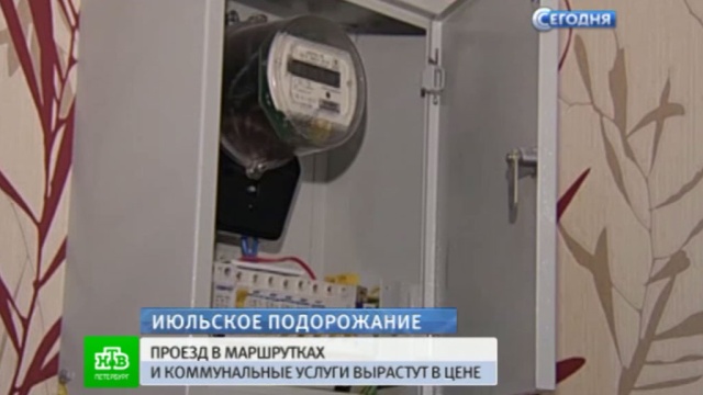 : ntv.ru