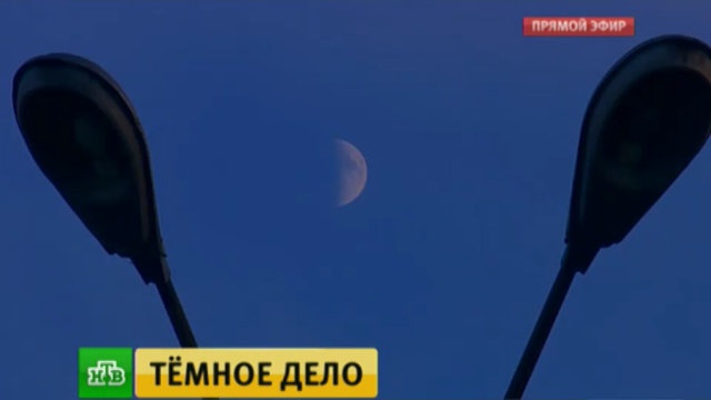 : ntv.ru