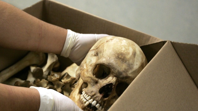 В Москве нашли вмурованный в стену скелет без руки