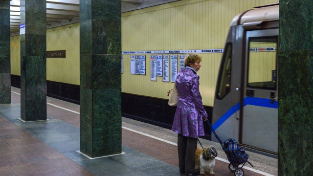 В московском метро опровергли задержку поездов на синей ветке 