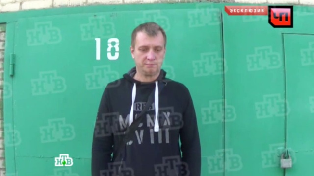 : ntv.ru