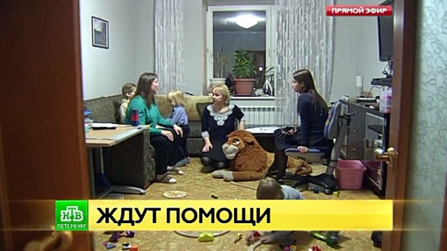 : ntv.ru