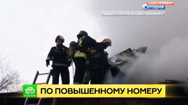 : ntv.ru