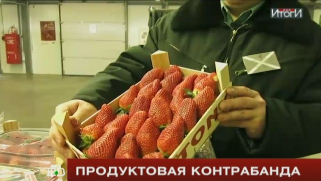 Какими путями в Россию попадают запрещенные продукты из Европы: расследование НТВ