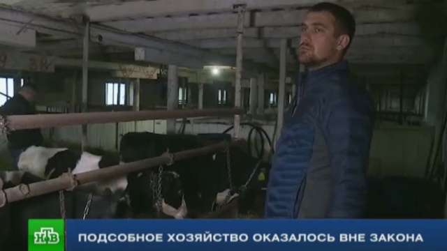 Чиновники Свердловской области обвинили фермера в незаконном предпринимательстве