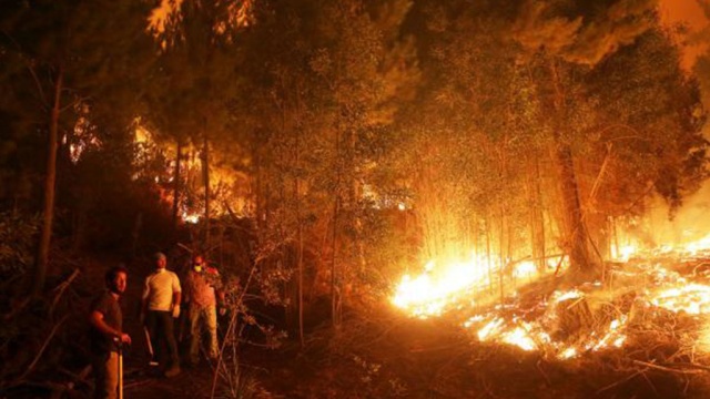 Лесные пожары в Чили уничтожили город