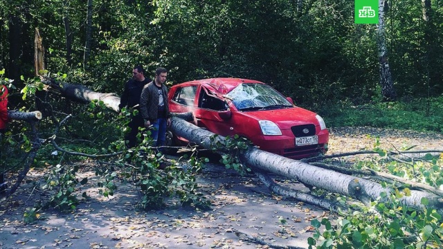 От урагана в Московском регионе пострадали 15 человек