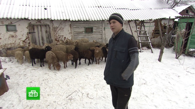 Саратовский школьник завел собственную ферму