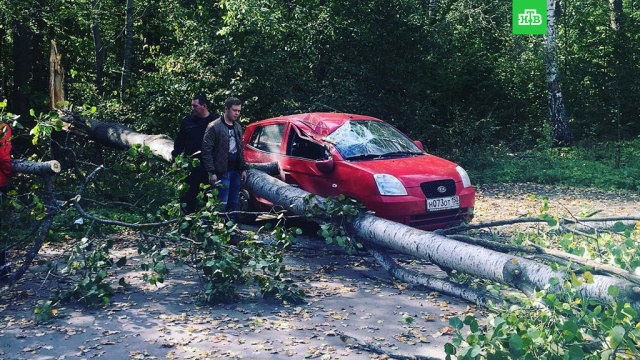 Ураган в Московской области сейчас. Колея от урагана. На загородном шоссе от урагана пострадали автомобили.