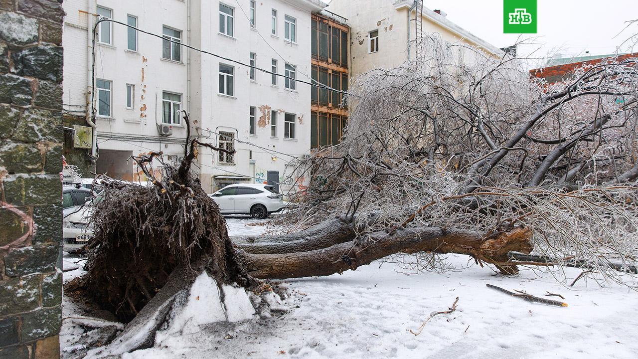 Ледяной дождь во Владивостоке 2020 последствия