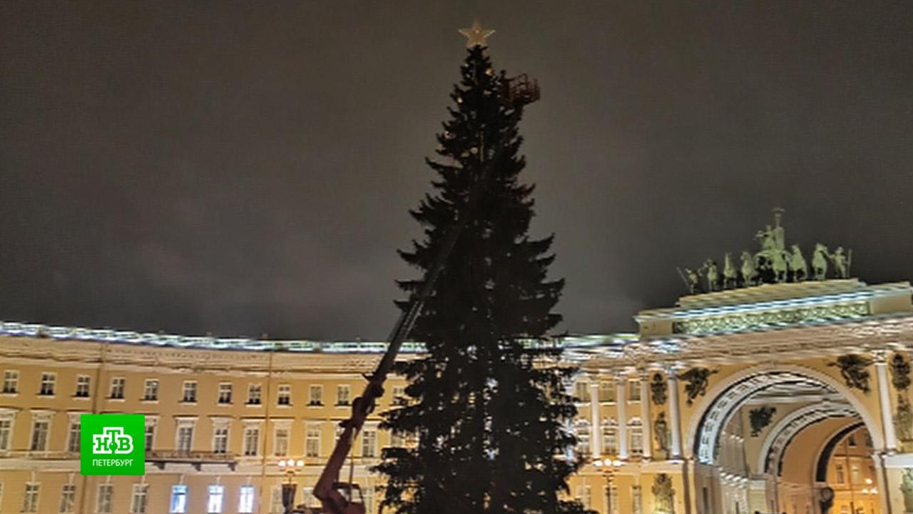 Ели в петербурге. Дворцовая площадь СПБ 2021. Елка на Дворцовой 2022 в Санкт-Петербурге. Главная ёлка Санкт-Петербурга 2021/2022 на Дворцовой площади. Дворцовая площадь в Санкт-Петербурге елка 2022.